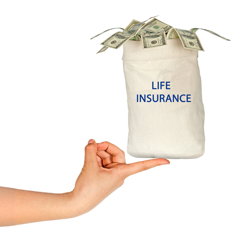 Best Life Insurance Florida Insurance Companies